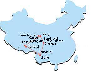 Rapsblumen am Koko Nor See (Qinghai Hu) in Qinghai